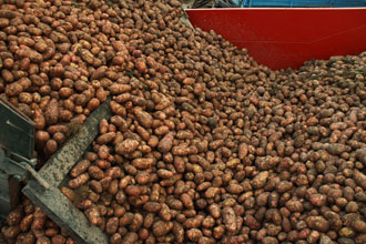 Нажмите для увеличения