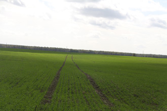 Нажмите для увеличения