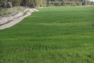 Нажмите для увеличения